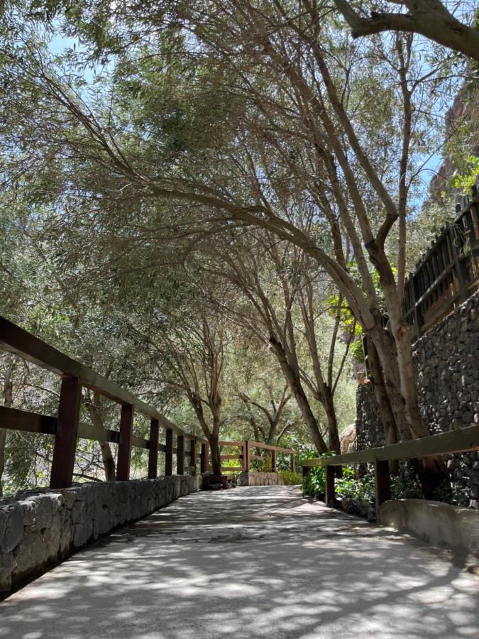 Casa Rural Guayadeque Ca'Juani 잉헤니오 외부 사진